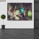 Canvas print Colibri