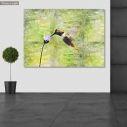 Canvas print Colibri III