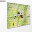Canvas print Colibri III, side