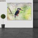 Canvas print Colibri IV