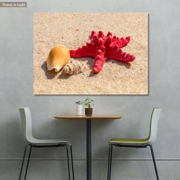 Canvas print  Starfish and shells II
