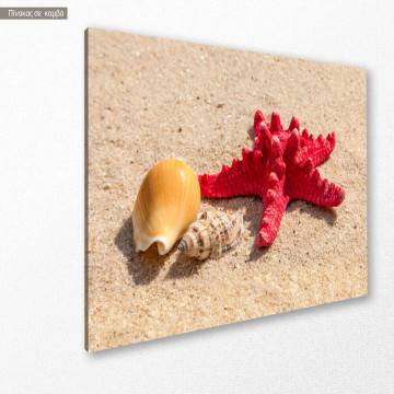 Πίνακας σε καμβά Starfish and shells II 2