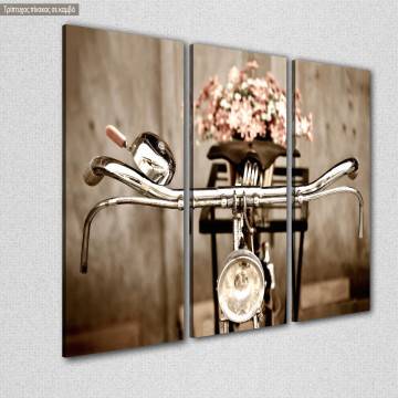 Πίνακας σε καμβά Old bicycle, τρίπτυχος 2
