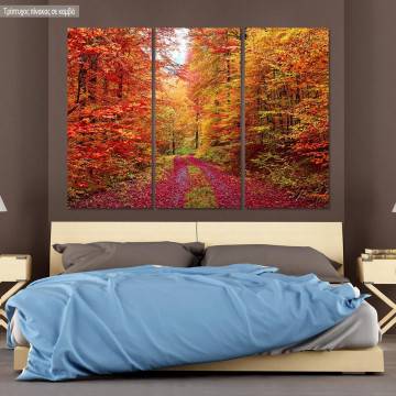 Canvas print Riot of autumn colors,  3 panels