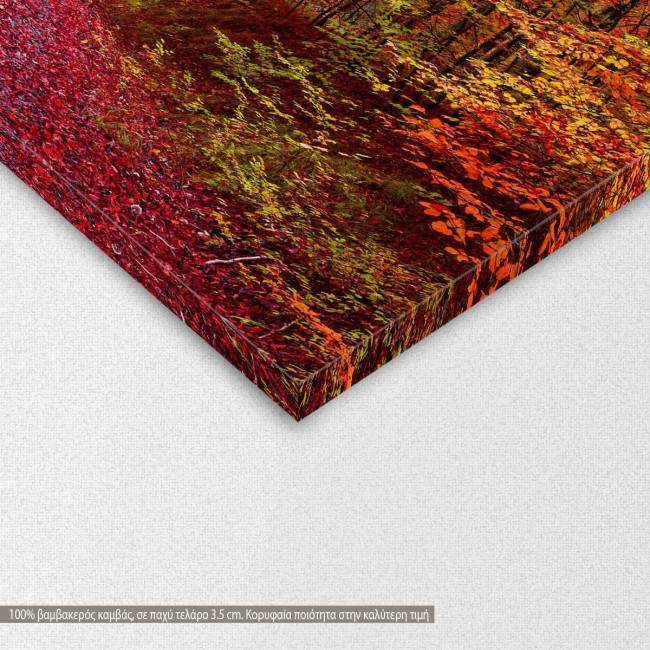Canvas print Riot of autumn colors,  3 panels