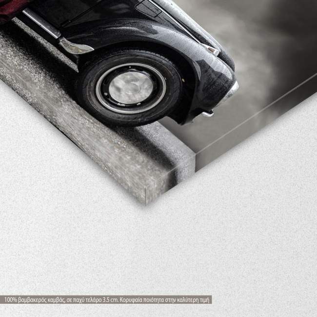 Πίνακας σε καμβά Mauve lady, λεπτομέρεια