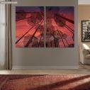 Canvas print Umbrella's of Thessaloniki, two panels