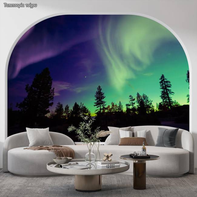 Wallpaper Sunset Northern lights at forest