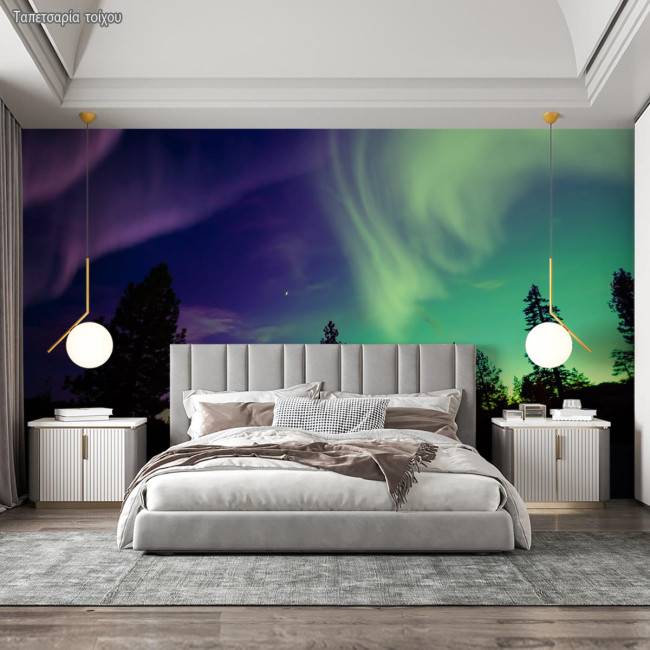 Wallpaper Sunset Northern lights at forest