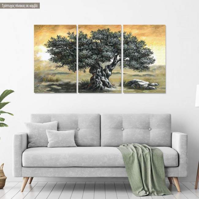 Canvas print Olive tree, 3 panels panoramic