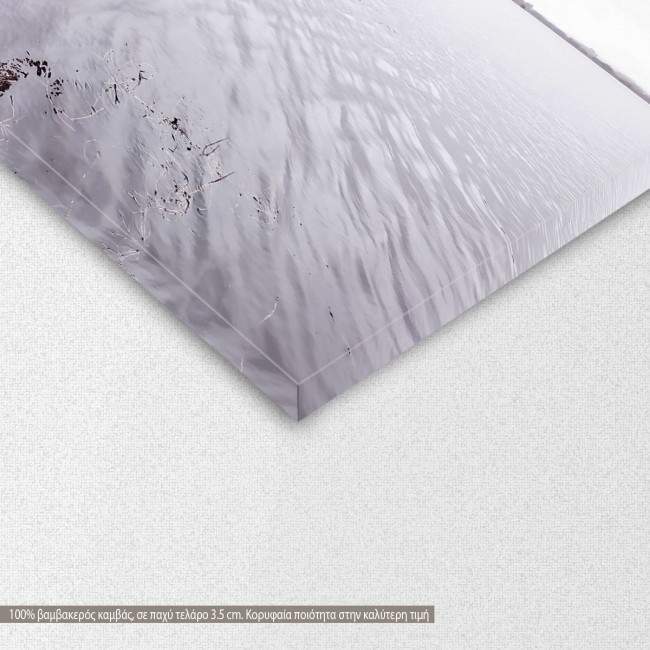 Canvas print Park of Pateira de Fermentelos II, detail