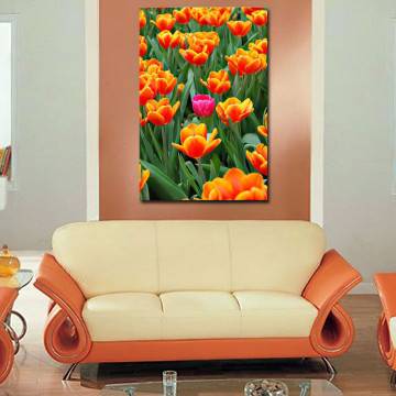 Πίνακας σε καμβά Ροζ τουλίπα ανάμεσα σε πορτοκαλί Καμβάς τελαρωμένος Όψη 1 2