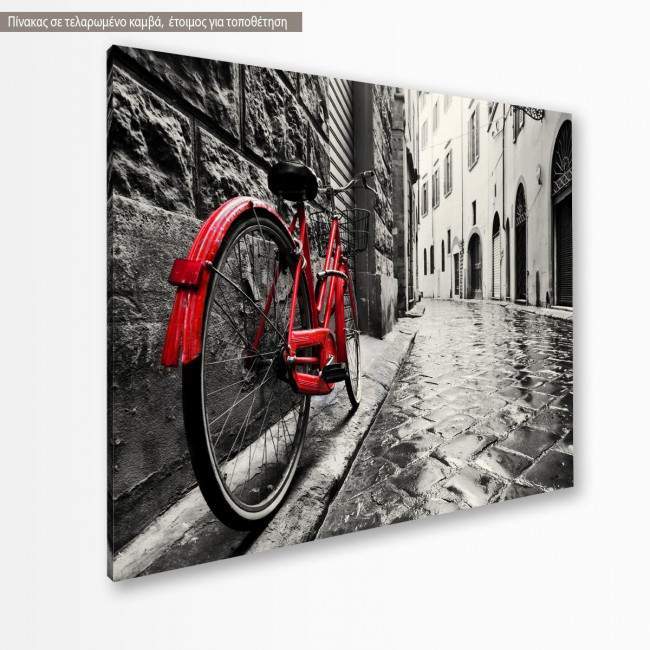 Canvas print Red bicycle