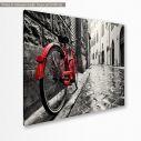 Canvas print Red bicycle