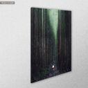 Canvas print  Walking path in bamboo forest, Japan, side