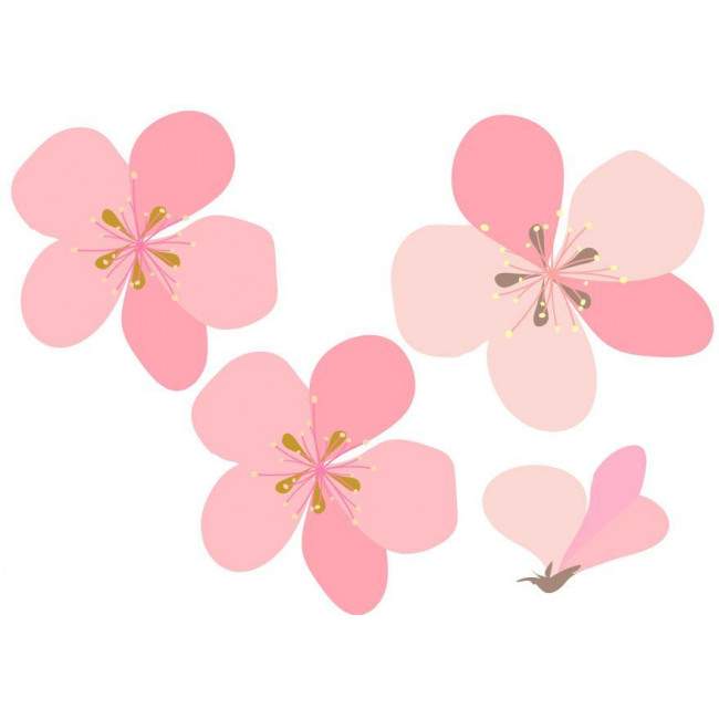 Wall stickers Cherry blossoms