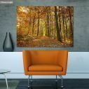 Canvas print Autumn colors