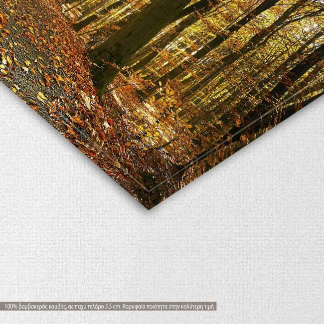 Canvas print Autumn colors, detail