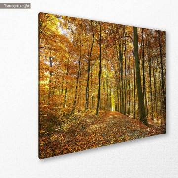 Canvas print Autumn colors Framed canvas View 1 2