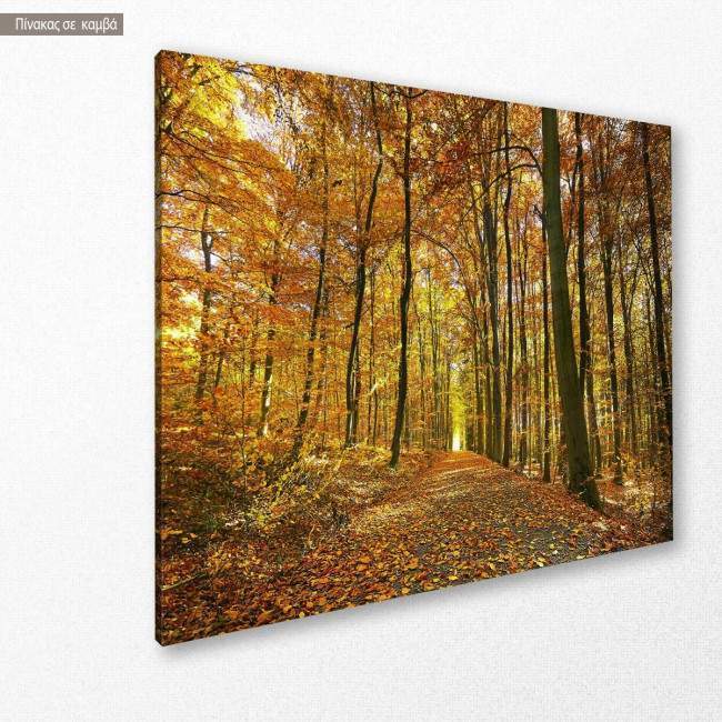 Canvas print Autumn colors, side