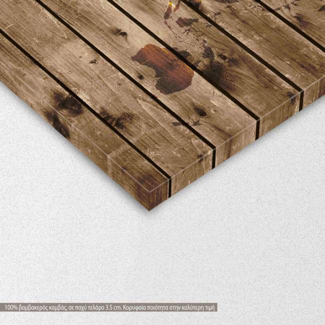 Πίνακας σε καμβά World map on wood, λεπτομέρεια