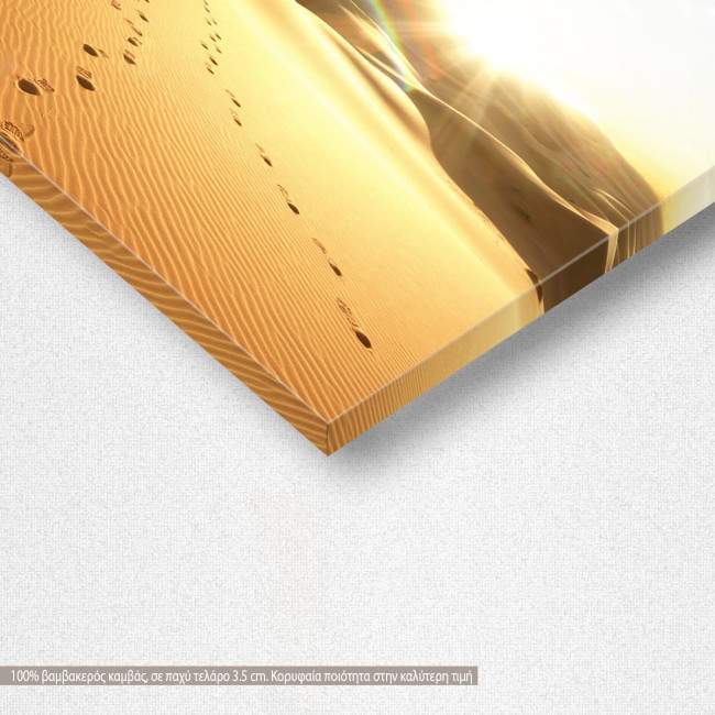 Πίνακας σε καμβά Desert footsteps, λεπτομέρεια