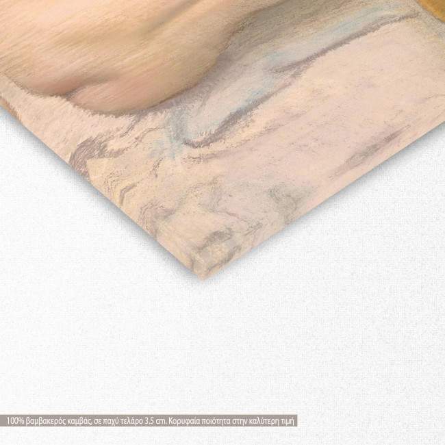 Πίνακας ζωγραφικής Woman combing her hair, Degas E, αντίγραφο σε καμβά, λεπτομέρεια