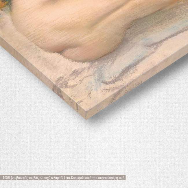 Πίνακας ζωγραφικής Woman combing her hair vertical, Degas E, αντίγραφο σε καμβά, λεπτομέρεια