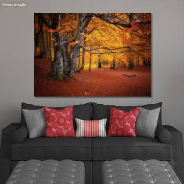 Πίνακας σε καμβά Φθινοπωρινό δάσος, Autumn colors forest