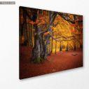 Canvas print Autumn colors forest, side
