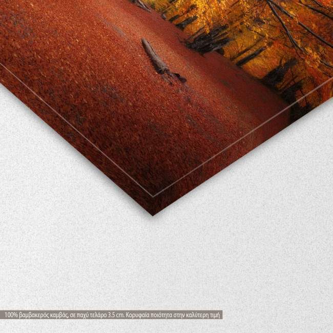 Canvas print Autumn colors forest, detail