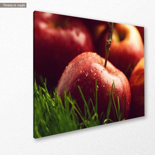 Πίνακας σε καμβά Red apples close up, κοντινό