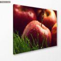 Πίνακας σε καμβά Red apples close up, κοντινό