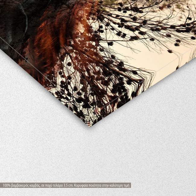 Canvas print Fantasy woman, detail