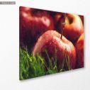 Canvas print Red apples painting, side