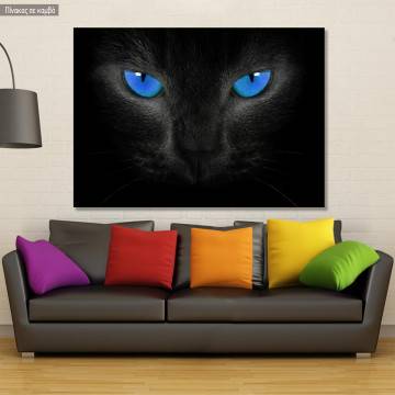 Canvas print Blue eyed cat