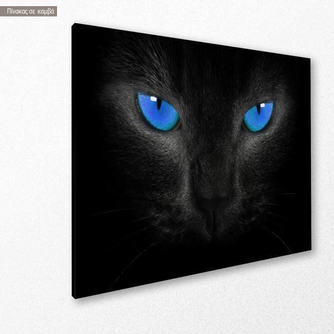 Canvas print Blue eyed cat, side