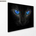 Canvas print Blue eyed cat, side