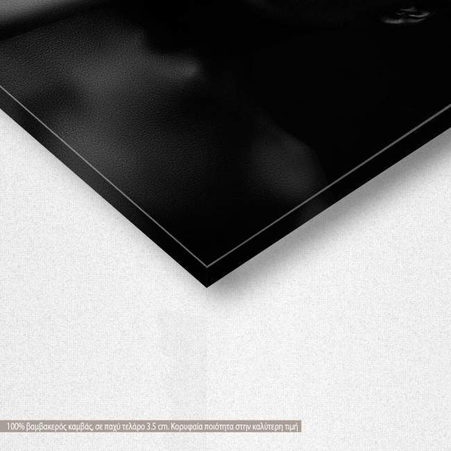 Canvas print Gold on black I, detail