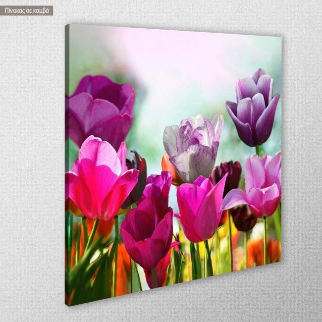 Canvas print Beautiful spring tulips, side