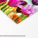 Canvas print Beautiful spring tulips, detail