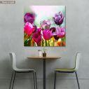 Πίνακας σε καμβά Τουλίπες, Beautiful spring tulips, τετράγωνο