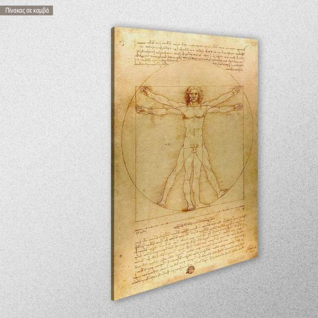 Πίνακας ζωγραφικής The vitruvian man, Leonardo da Vinci, καμβάς 6