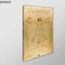 Canvas print The vitruvian man, Leonardo da Vinci, side