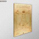 Πίνακας ζωγραφικής The vitruvian man, Leonardo da Vinci, καμβάς 6