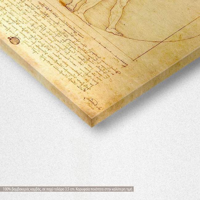 Πίνακας ζωγραφικής The vitruvian man, Leonardo da Vinci, καμβάς 8