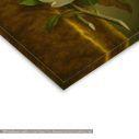 Canvas print Magnolias on Gold Velvet Cloth, Martin Johnson Heade, detail