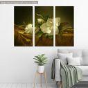 Canvas print Magnolias on Gold Velvet Cloth Martin Johnson Heade,  3 panels