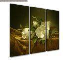 Canvas print Magnolias on Gold Velvet Cloth Martin Johnson Heade,  3 panels
