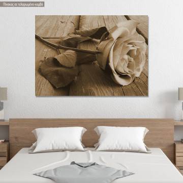 Canvas print  Rose on wood, sepia
